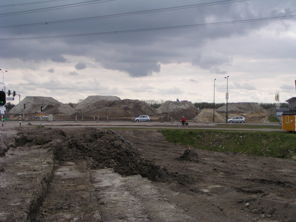 p4130019.jpg - Vier stuks grote zandhopen nu in Ekkersrijt. We zullen ons maar niet weer wagen aan voorspellingen over de wegenloop.