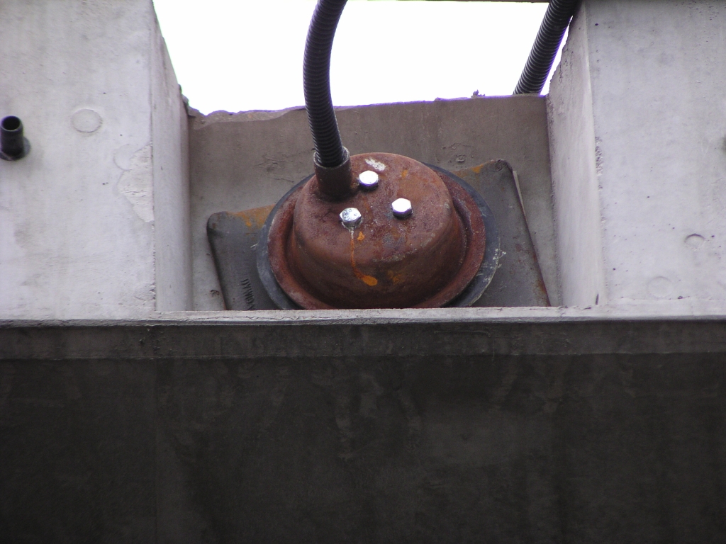 p4300012.jpg - Detail in KW 9. Ze zitten ongeveer elke meter in lengterichting.