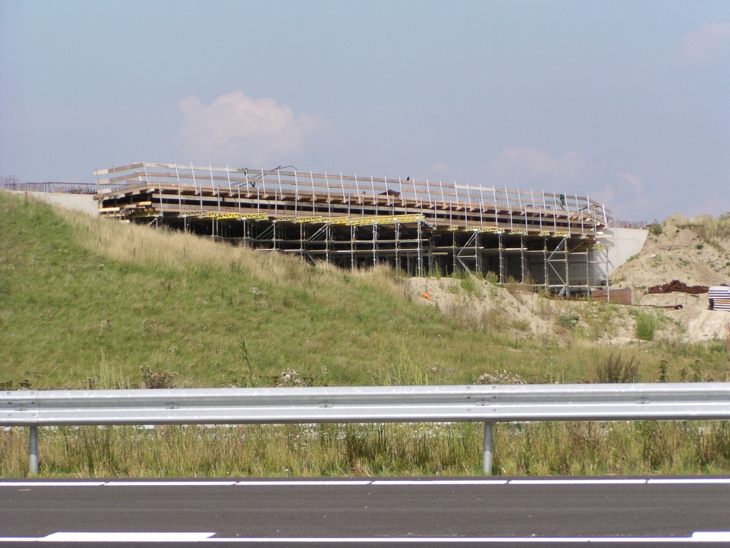 p8160019.jpg - Er is een werkverkeerbaan onder de bekisting van KW 4B door. Dat verklaart de uitstulping in het stempelbouwwerk.