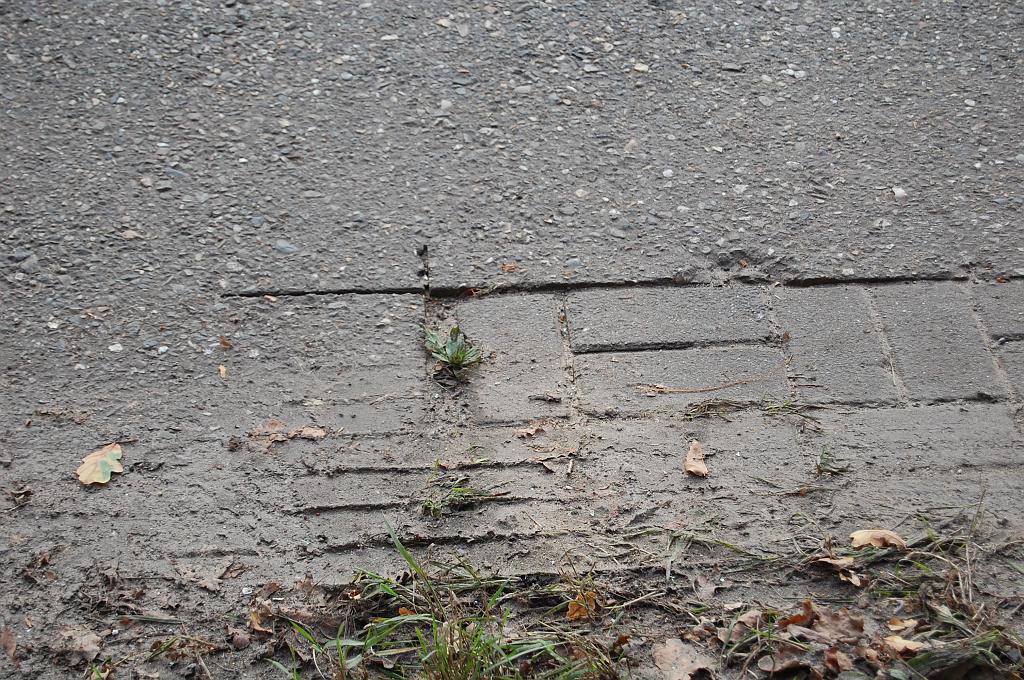 20081011-153252.jpg - Straatklinkers, maar helaas niet authentiek.